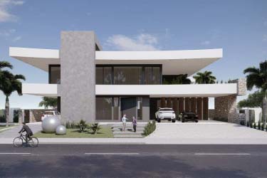 Contemporary mansion project