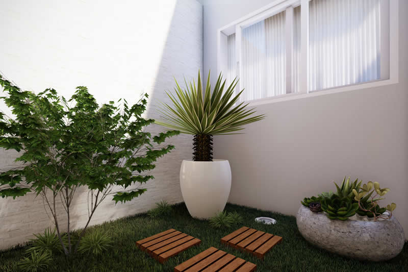 Practical and functional home plant