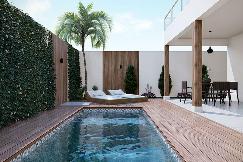 Clean house plant