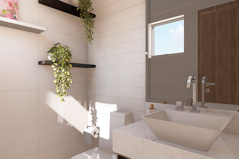 Clean house plant